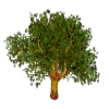 http://img76.xooimage.com/files/2/c/8/render3.jpg64d9d0...22larger-3302a74.png