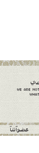 قائمة الاعضاء