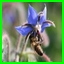 http://img76.xooimage.com/files/b/a/f/sq-339608f.jpg